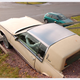 Illustration for article titled Even In The Volvo's Homeland, The Såwzålls Cannot Be Restrained: Volvochero!